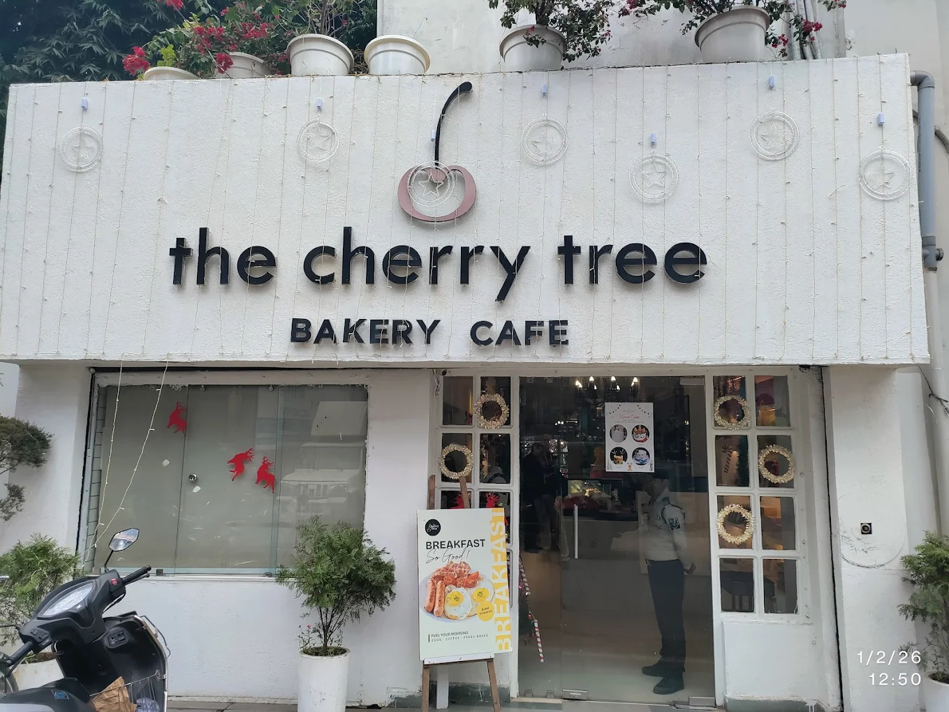 The Cherry Tree Cafe - Cafe / Coffee Shop / Tea in Hazratganj, 