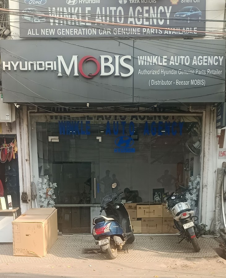 Winkle Auto Agency - Auto Parts in Lalbagh, 