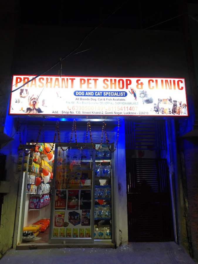 Pawland - Pet Shop in Aishbagh, 