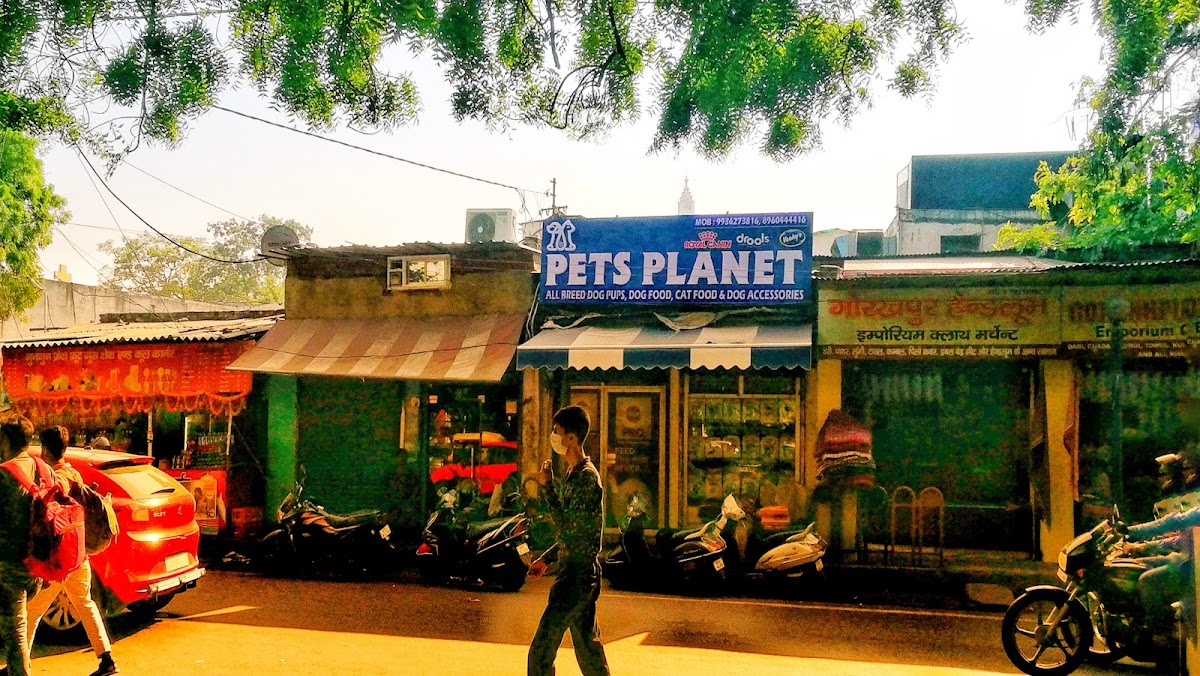 Pets Planet - Pet Shop in Hazratganj, 
