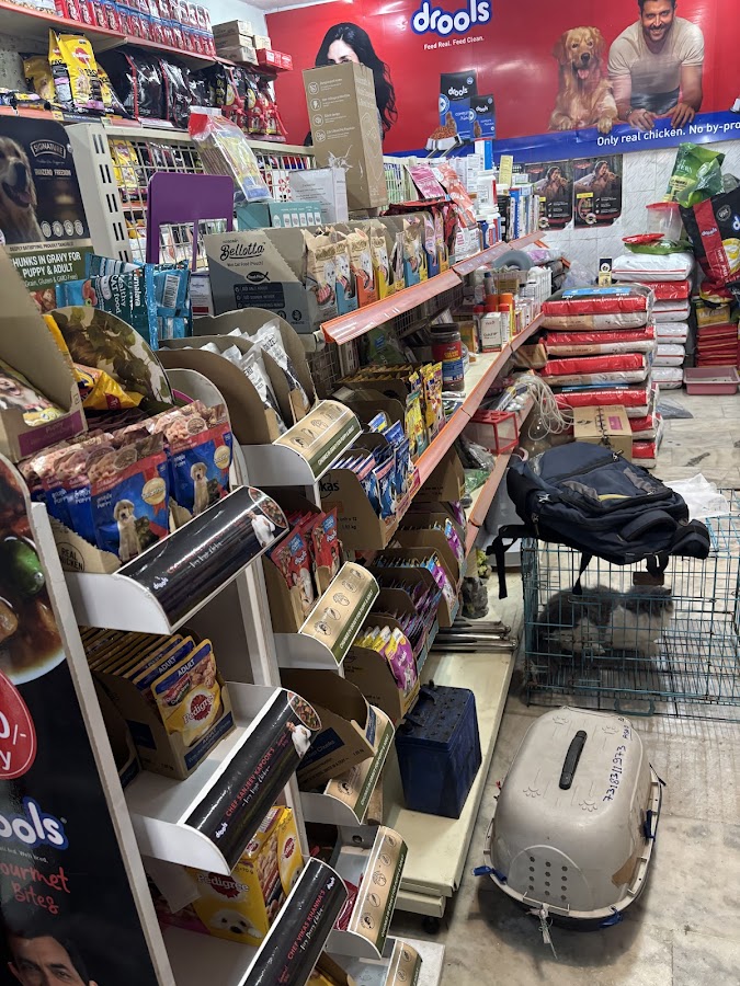 Puppies World - Pet Shop in Kalyanpur, 