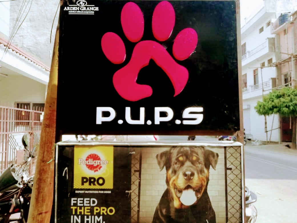 Pups - Pet Care Store - Pet Shop in Gomti Nagar, 