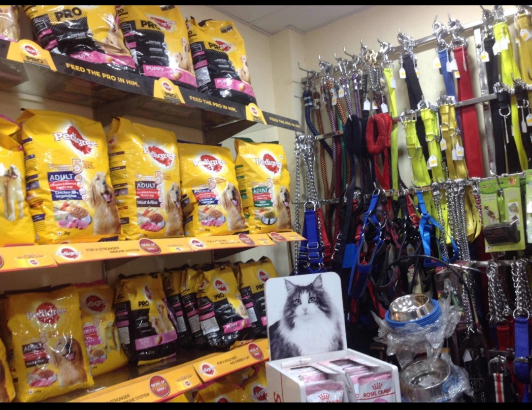 Rahul Pet Shop - Pet Shop in Alambagh, 