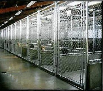 Ronit Pet Kennel - Pet Shop in Cantonment, 