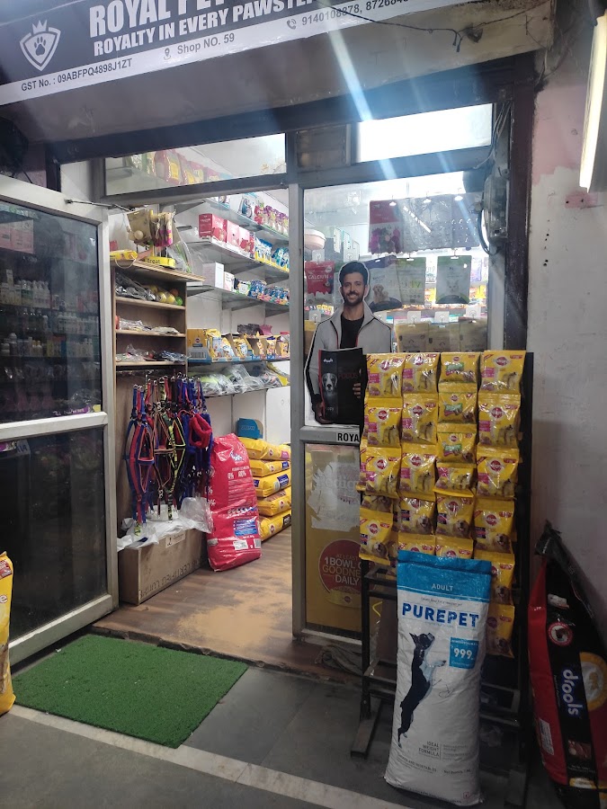 Royal Pets & Aquarium - Pet Shop in Gomti Nagar, 