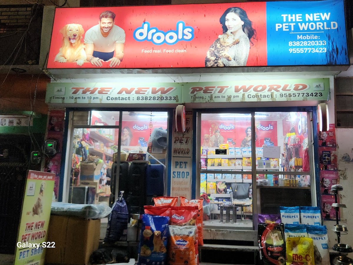 The New Pet World - Pet Shop in Alambagh, 