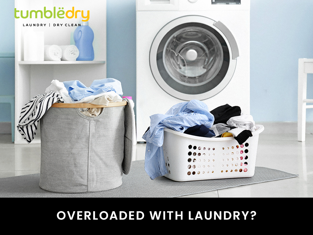 Tumbledry Dry Clean & Laundry Service - Laundry in LDA Colony, 