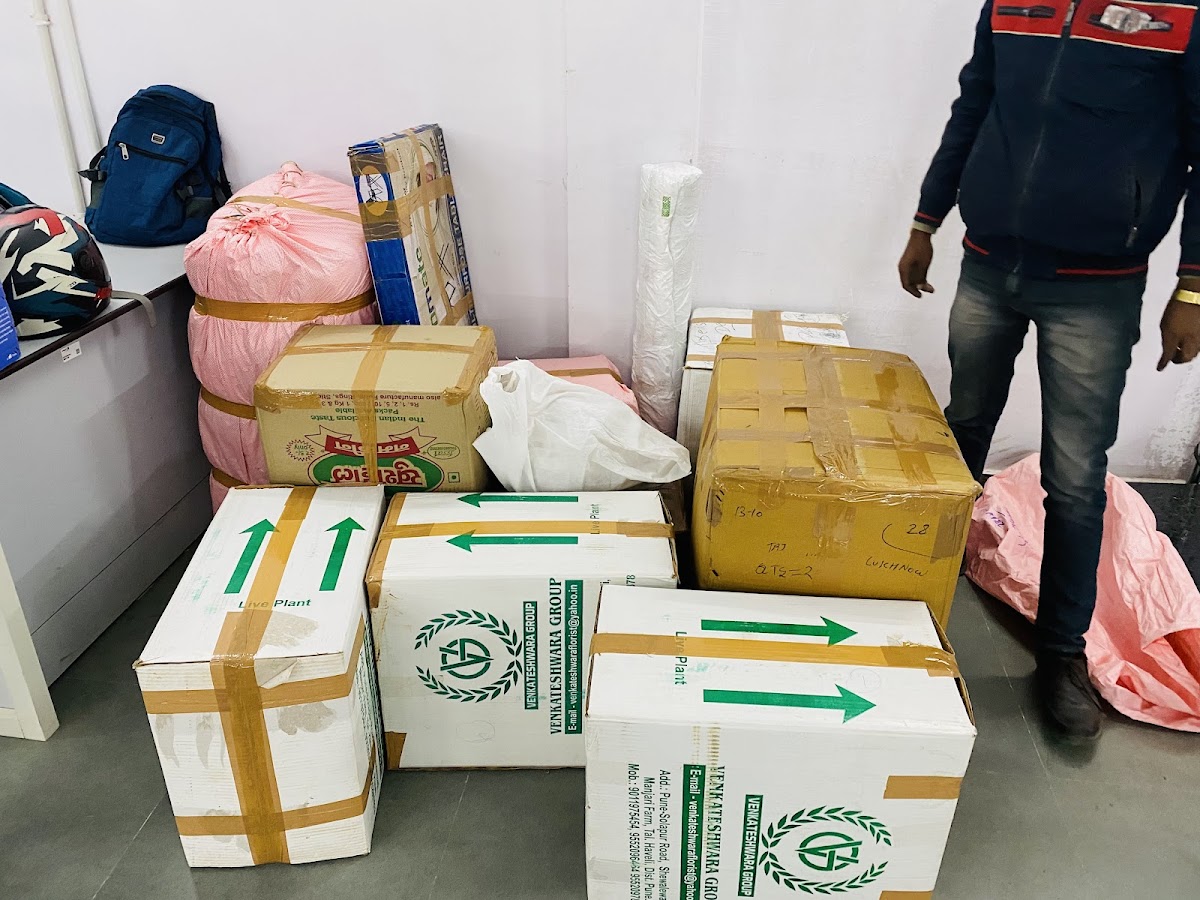DTDC - International Courier Service - Courier Service in Gomti Nagar, 