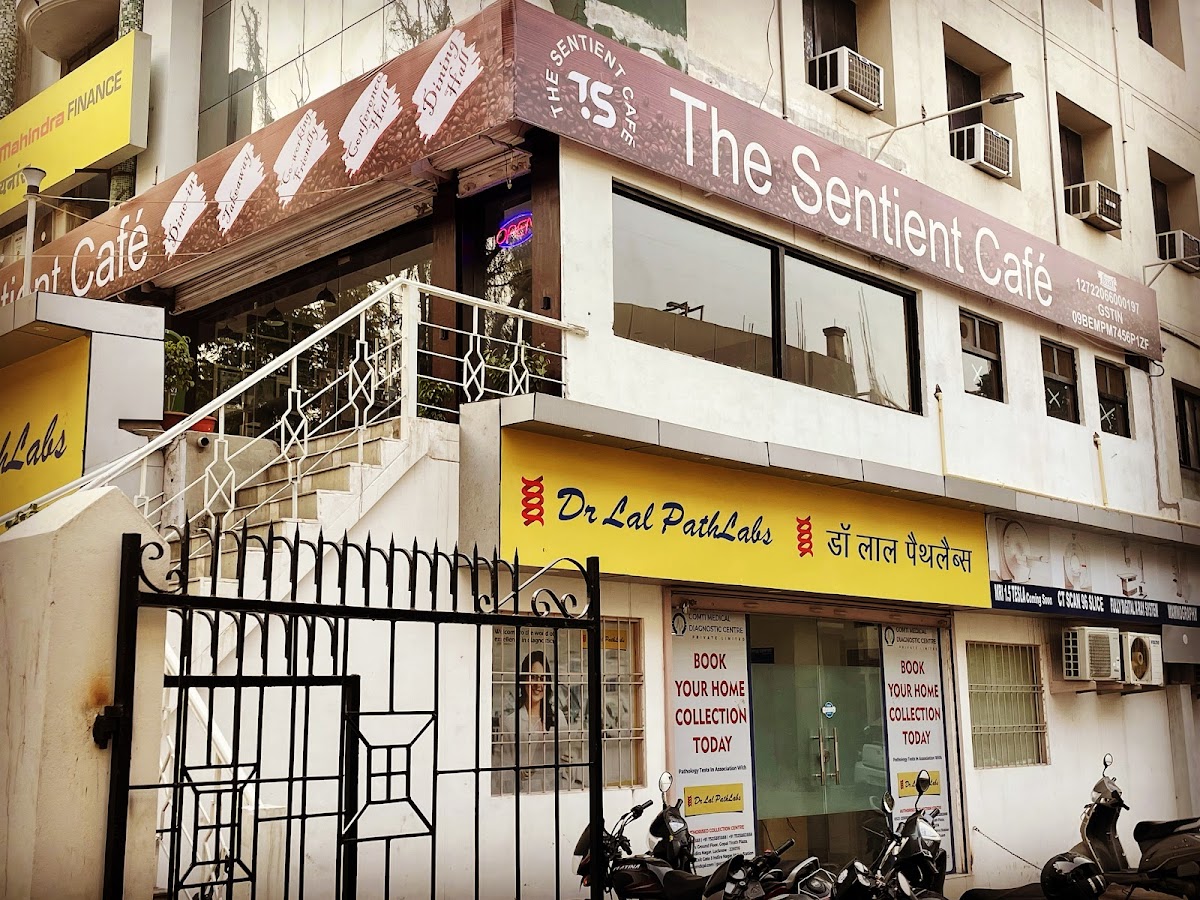 The Sentient Cafe - Cafe / Coffee Shop / Tea in Indira Nagar, 