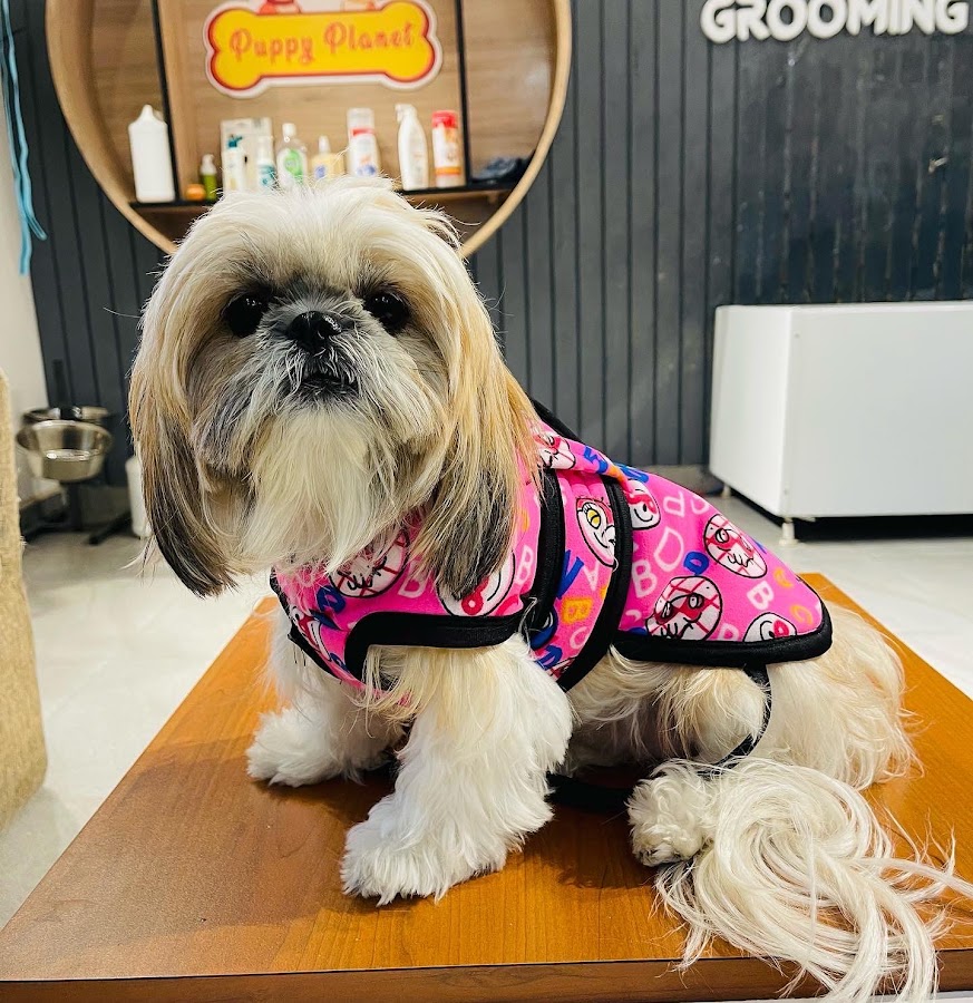 Puppy Planet - Pet Grooming in Butler Colony, 