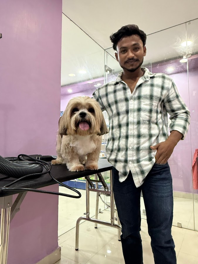 Hobbsgo Pet Shop - Pet Grooming in Gomti Nagar, 