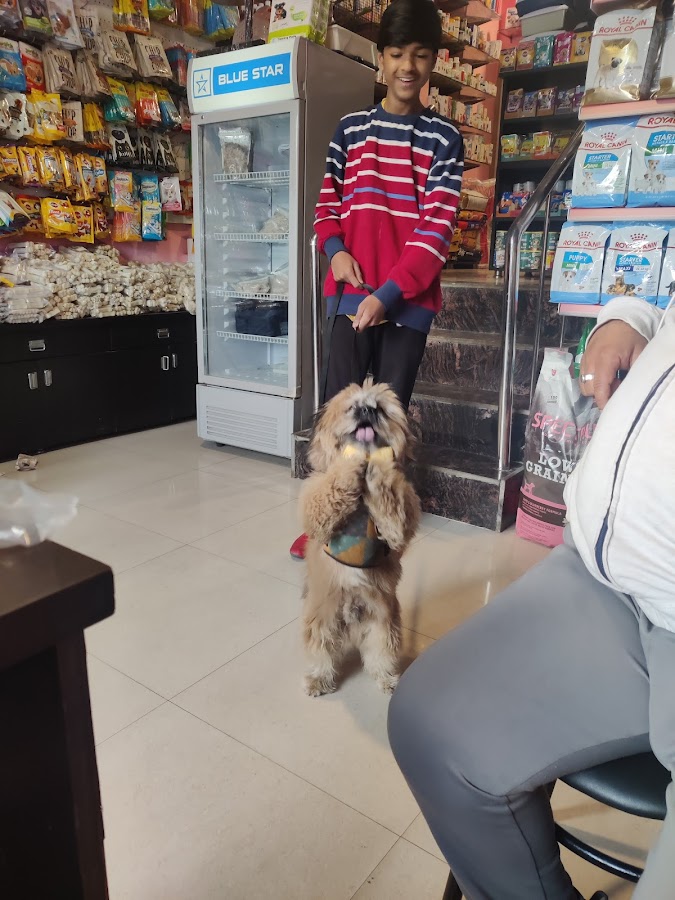 Pups Pet Care Store - Pet Grooming in Indira Nagar, 