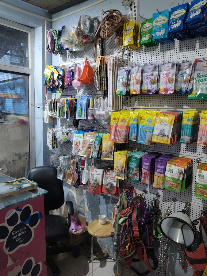 Cats & Dog Pet Shop - Pet Grooming in Kaiser Bagh, 
