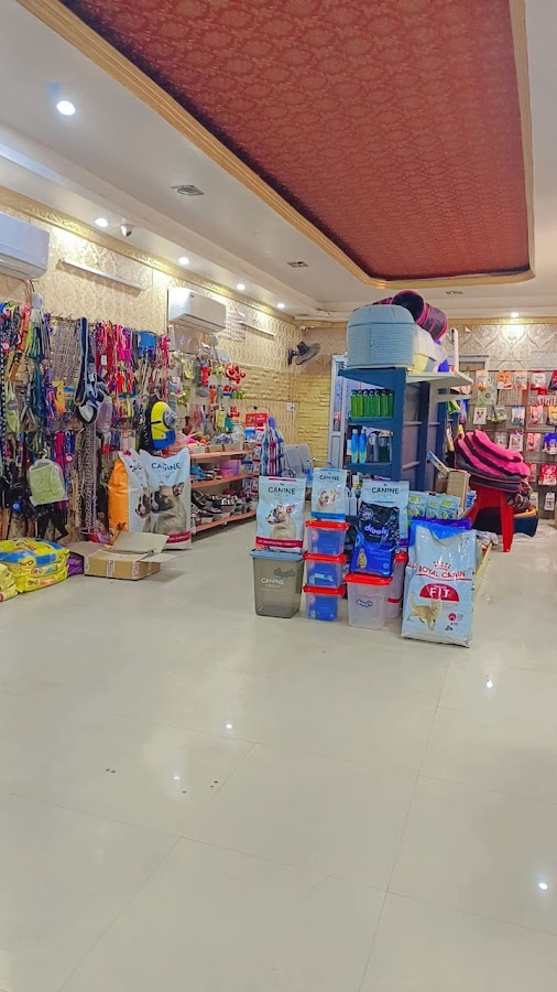The Pet Nation - Pet Grooming in Ashiyana, 