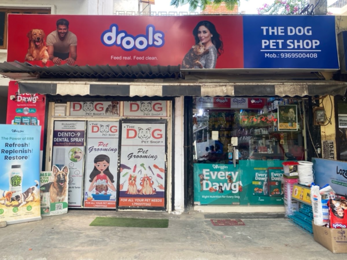The Dog Pet Shop - Pet Grooming in Munshi Pulia, 