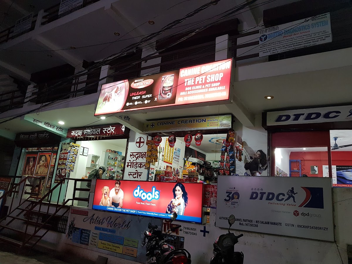 Canine Creation Dog Food - Pet Grooming in Eldeco Udyan Ii, 