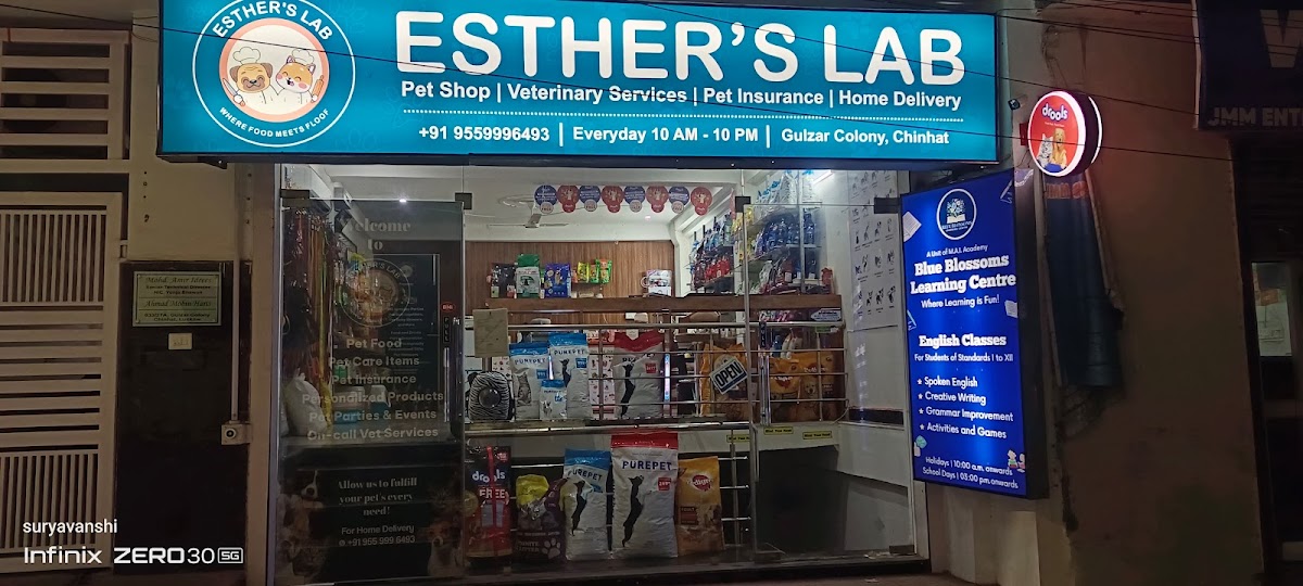 Esther's Lab - Pet Grooming in Chinhat, 