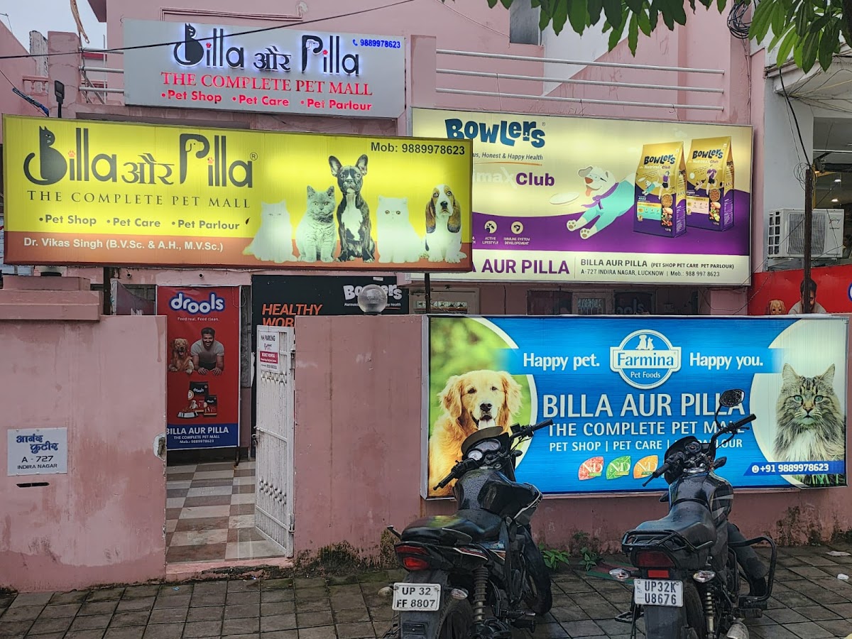 ‌‌‌‌‌Billa Aur Pilla - Pet Grooming in Indira Nagar, 