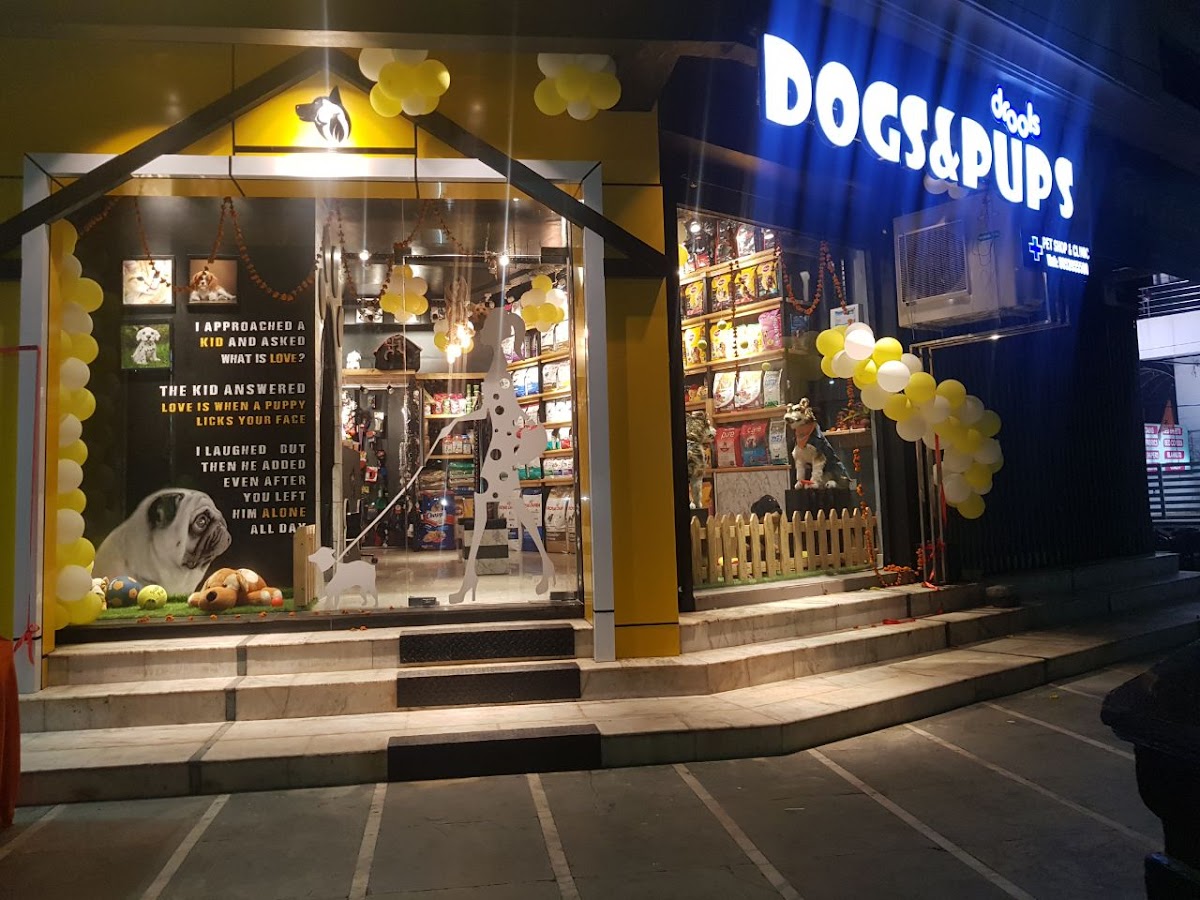 Dogs & Pups Pet Shop & Clinic - Pet Grooming in Indira Nagar, 