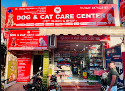 Dog & Cat Care Center - Pet Grooming in Chowk, 