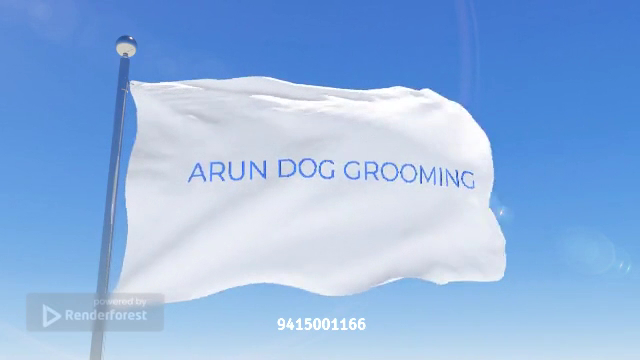 Arun Dog Cat Vaccination and Bathing - Pet Grooming in Fazullaganj, 