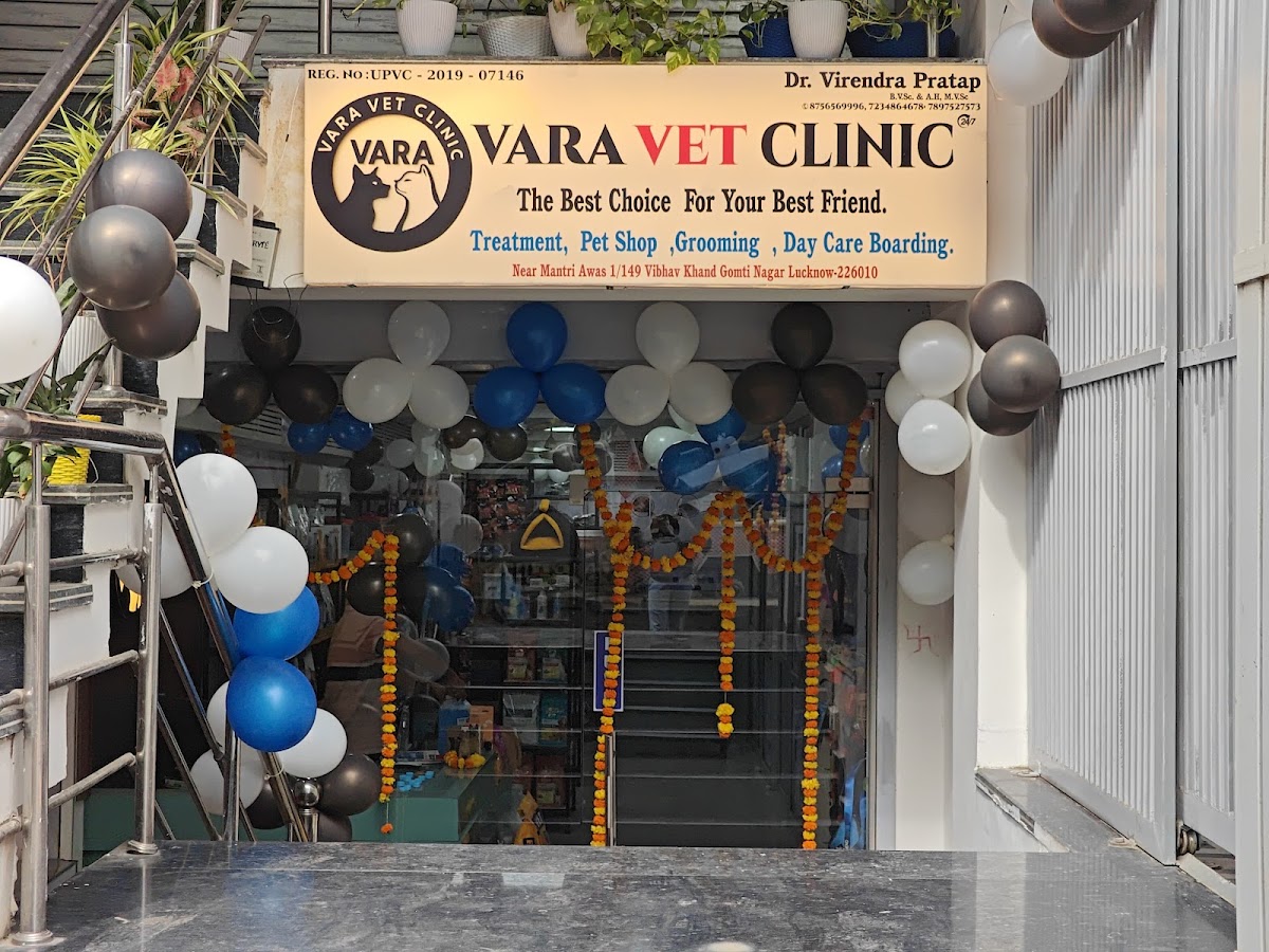 Vara Vet Clinic - Pet Grooming in Gomti Nagar, 